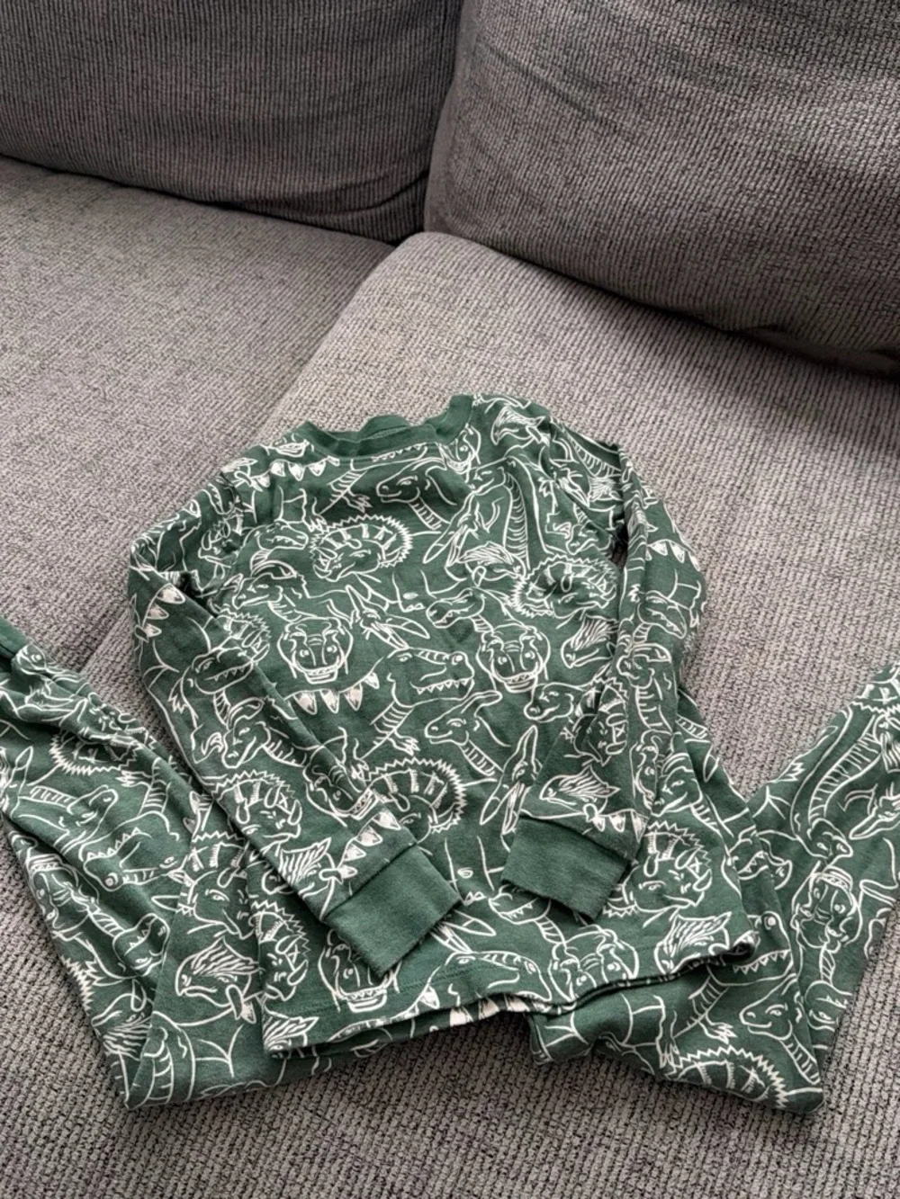 Forest Green Dinosaur Print Kids Pajama Set - Cozy Long Sleeve Top & Pants